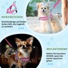 Eyein Dog Harness with Lead for Medium Small Dogs, Soft