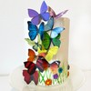 Sugar Robot Edible Butterflies for Cake Decorating- Large Size Butterfly