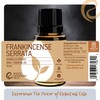 Rocky Mountain Oils - Frankincense, Serrata-15 ml | 100% Pure