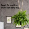 National Hardware N260-152 Q Hangers Ceiling Hanging String Lights More