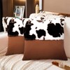 HYOPUO Set of 2 Faux Fur Throw Pillow Covers with