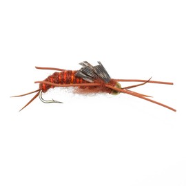 The Fly Fishing Place Basics Collection - Kaufmann's Brown Stonefly Nymph Assortment - 10 Bead Head Rubber Legs Wet Flies - Hook Sizes 6, 8, 10, and 12