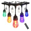 LumeGen 48ft Color Changing S14 String Light with 15 E26