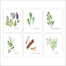 Kitchen Herbs Art Prints - Botanical Prints - (Set of 6) - Unframed - 8x10s