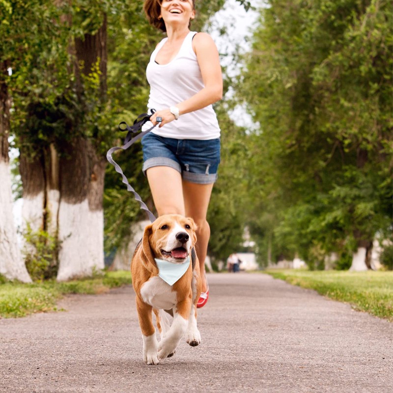 URROMA 4 Pack White Triangle Dog Bandana Collar with Adjustable