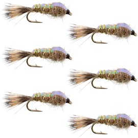 The Fly Fishing Place Weighted Nymph Fly Fishing Flies - Flashback Gold Ribbed Hare's Ear Trout Fly - 6 Flies Hook Size 16