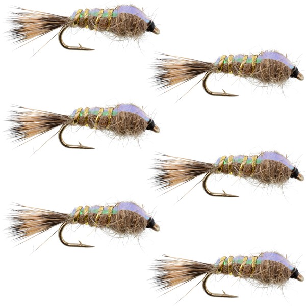 The Fly Fishing Place Weighted Nymph Fly Fishing Flies -