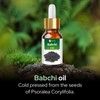 Salvia Babchi Oil (Psoralea Corylifolia) 100% Pure & Natural Undiluted