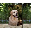 Yellow Lab garden flag, garden flag, yard flag, yard decor,
