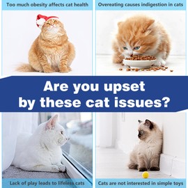 Cat Puzzle Toy, Slow Feeder, Food Treat Puzzle for Cat