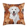 Cute White English Cream Golden Retriever Dog for Women Men