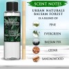 Urban Naturals Balsam Forest Oil Reed Diffuser 4 oz/1 Pack,
