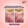 Clairol Blonde It Up Crystal Glow Toner Kit - Rose