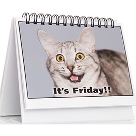 Office Gift for Cat Lovers - Moodycards! Make Everyone Laugh with These Adorable and Hilarious Cat Memes - Let The Kittys Tell Everyone How You Feel! A Terrific Office Gift! 25 Different Moods