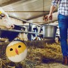 Chick in Egg Magnet Round Cute Magnet Round for the