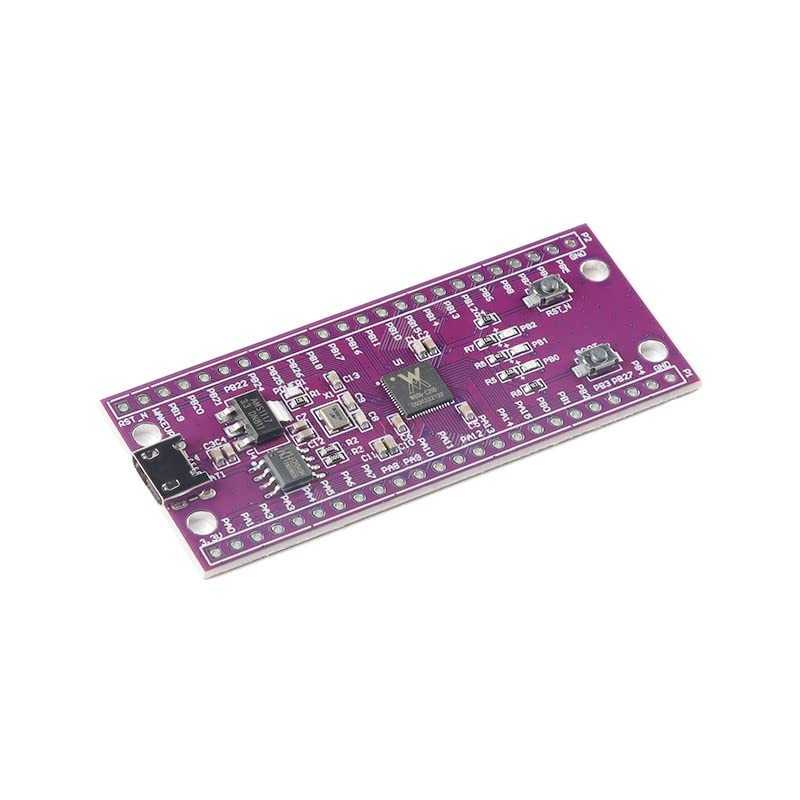 TECNOIOT 2 pieces W806 MCU development board microcontroller 32-bit WiFi