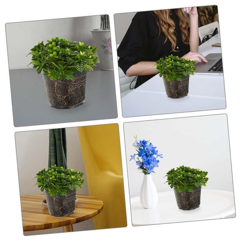 CAXUSD 6pcs Transparent Orchid Pots with Drainage Holes Clear Nursery