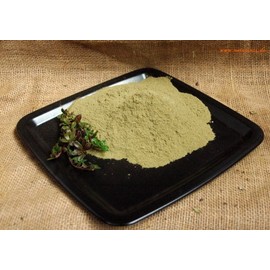 Naturix24 Bearberry Leaf Powder Ground Bearberry Leaves - 100g Bag