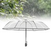 Compact Umbrella Black Transparent Automatic Design Sturdy Structure Travel Umbrella