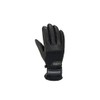 Gordini Men's Standard Spring Glove, Black, Medium