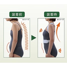 Director Of The posture Supporter , , ,