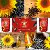 Roasted Sunflower Seeds Babkinu 500g Bundle of 8 Packages in