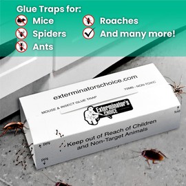 Exterminators Choice Large White Sticky Glue Boards for Insects - 8 Pack Flat Boards - Odorless Adhesive for Indoor Ant & Beetle Catching