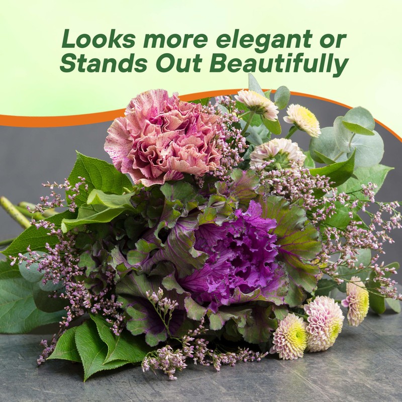 Outsidepride Ornamental Cabbage Flower Seeds - 2000 Pcs. Annual, Cold