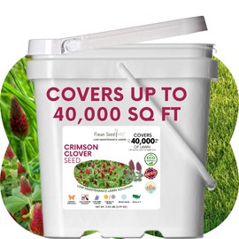 Flawn Seed Kits 11 Lbs Crimson Clover Seed, Pollinator Friendly, Low Maintenance, Lawn Alternative, Ground Cover, Pail with Handle, Covers up to 40,000 Sqft