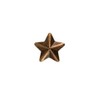 1 Star 3/16" Bronze Ribbon Device