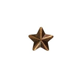 1 Star 3/16" Bronze Ribbon Device