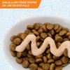 INABA Churu Skin & Coat Natural Lickable Wet Treat for