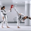 Juvale Taekwondo Kick Pad - Red, 15 x 2.5 x