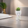 Face Flowerpot Fadeless Resin Head Planter DIY Decorative Adorable Succulent