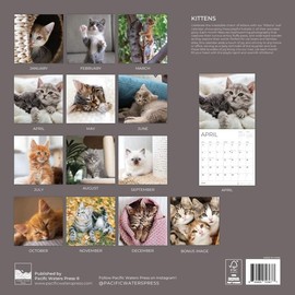 2026 Wall Calendar 12 Month | 12" x 24" Open | Giftable | Nature Calendar 2026 | Thick & Sturdy Paper for Calendar Organizing & Planning | Pacific Waters Press (Kittens)