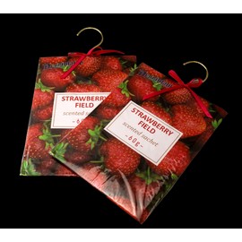 Multicolor 2 Pack Large Hanging Closet Sachet 9" x 6.75"  Metal Hanger & Bow Strawberry
