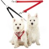 Double Dog Pet Lead Leash Splitter Coupler with Clip for