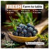 Eastanbul Juniper Berries Whole 3.5oz, Natural Juniper Berries for Gin