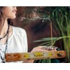 Palo Santo Aromatic Incense Sticks Natural Aromatherapy Box of 6