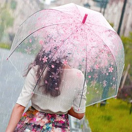 Cherry Blossoms Clear Umbrella,Clear J Hook Handle Stick Umbrella,Dome Auto Open Windproof Umbrella for Kids Girls & Boys & Women, PINK