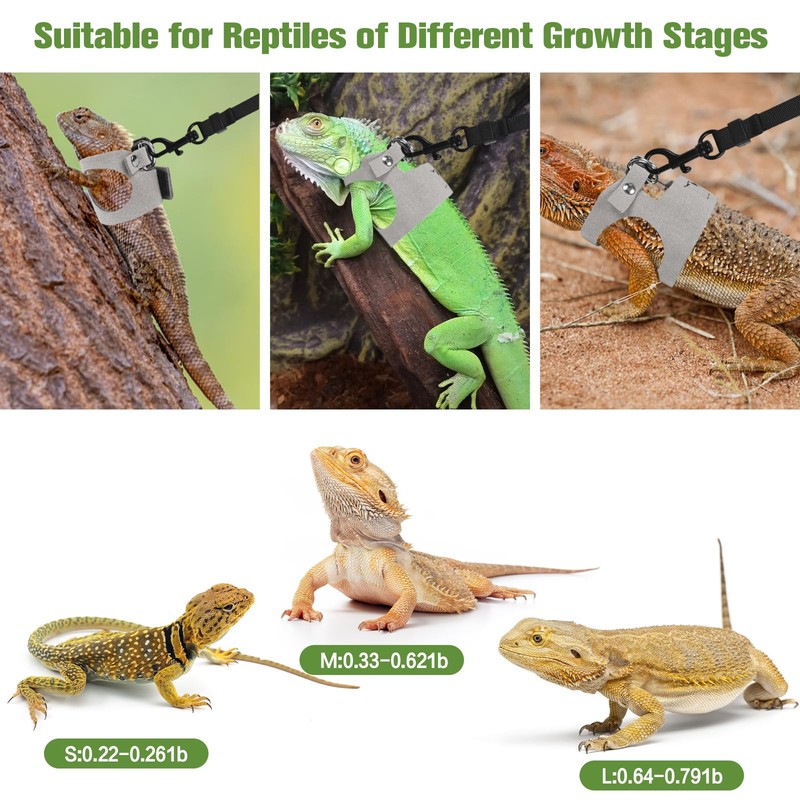 Fnaobai Bearded Dragon Harness Leash Set 3 Size Adjustable Lizards