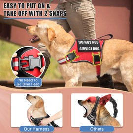 MOOGROU Service Dog Vest Harness+ID Tag+10 Patches,Metal Serivce Dog Tag&Reflective Emotional Support Dog Vest with Handle for Medium Dogs,Easy Put On/Off for Training/Walking/Everyday Red M