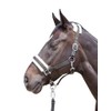 HKM 11796 Bischofshofen Headcollar Plush Padding Horse Halter Turquoise, Thoroughbred