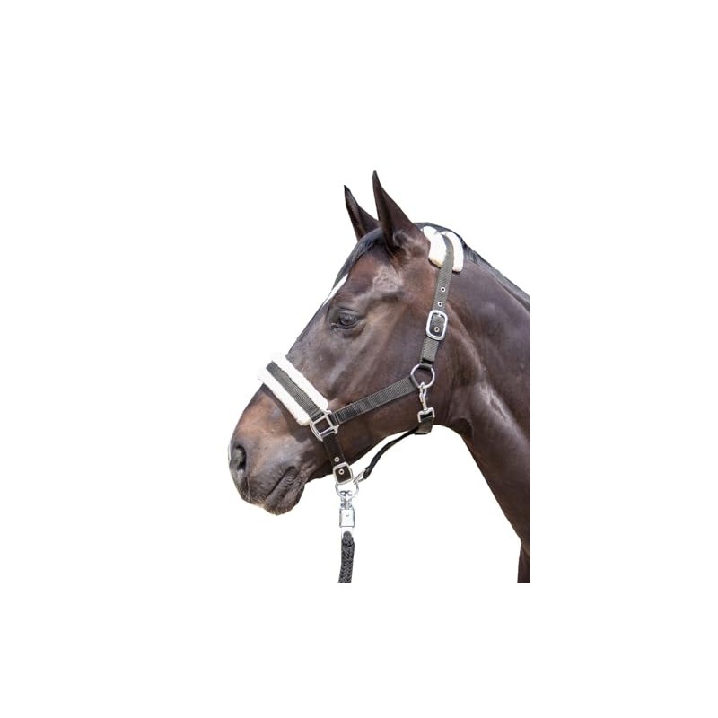 HKM 11796 Bischofshofen Headcollar Plush Padding Horse Halter Turquoise, Thoroughbred
