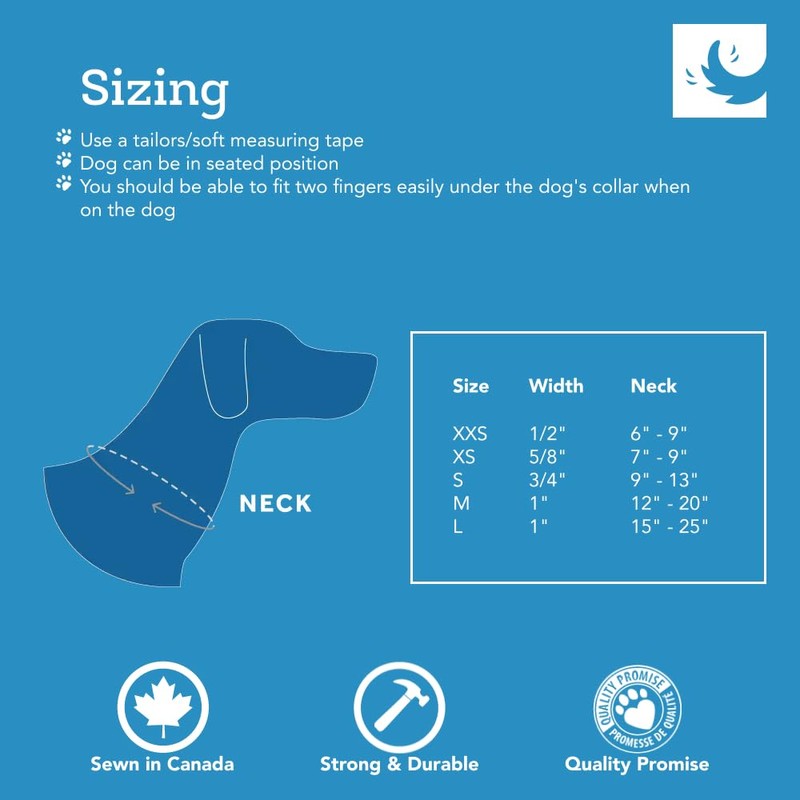 RC Pets Sporty, Fun, Functional Clip Collar-1/2 | Fresh Tracks