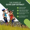 East Park Olive Leaf Extract (OLE) Super Strength d-Lenolate 500mg