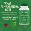 Active Blend Ashwagandha Gummies – Supports Calm, Balanced Mood &
