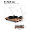 Turntable Belt-Drive Record Player with Bluetooth Output, Vinyl Player Support