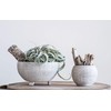 Distressed Cream Terracotta Planter with Fluted Texture