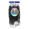 Shake-N-Go Freetress 3x Water Curl Boho Braids 12" (1B)
